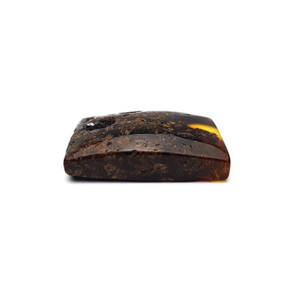 Gintarinis amuletas vyrams - Fortūna