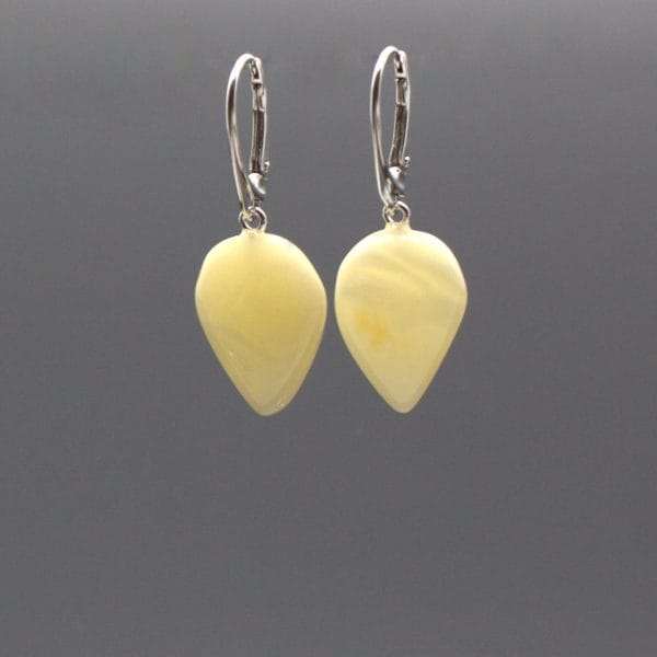 Auskarai ir pakabukas 