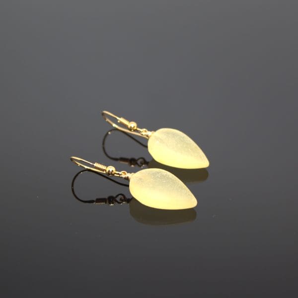 Auskarai ir pakabutis 