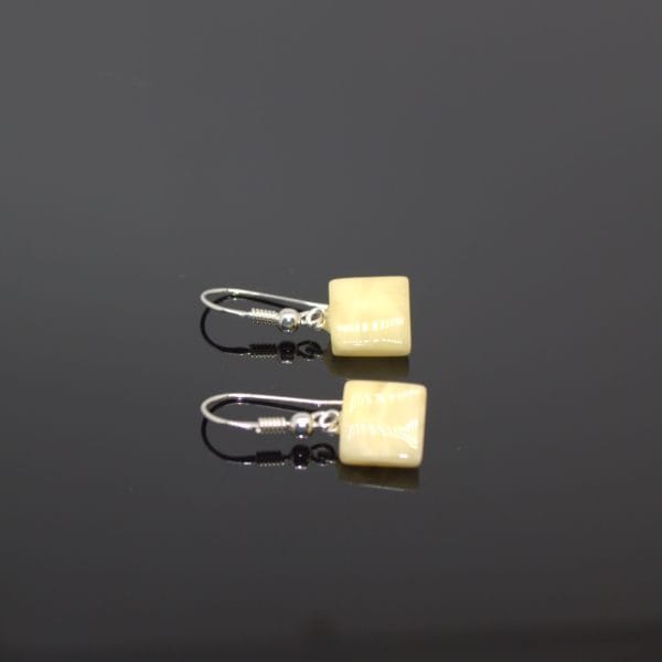 Auskarai ir pakabutis