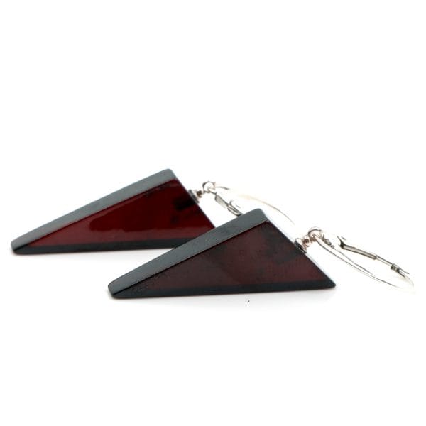 Blizgūs tamsūs auskarai 